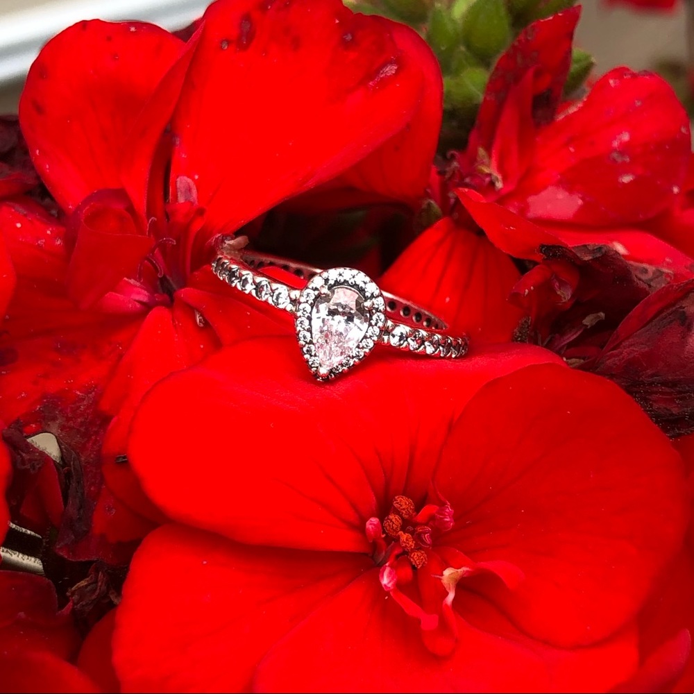 Pandora Classic Teardrop Halo Ring
